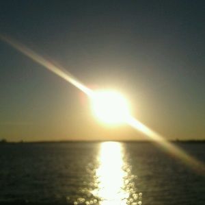 Meet your Posher, Tamecha